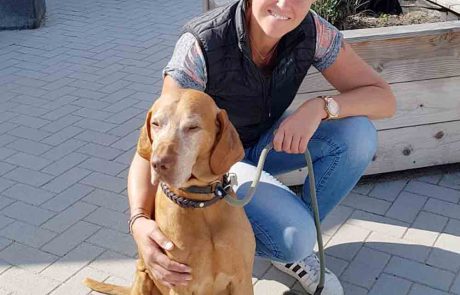 Gedragstherapie honden limburg