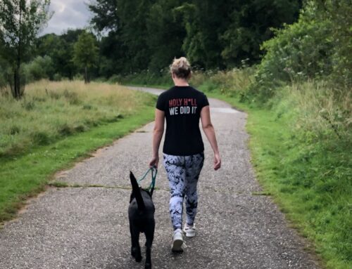 Hond Marley is te enthousiast waardoor ze tijdens wandelen trekt en springt